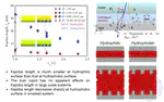 Scale effects on thermal transport at solid-liquid interface